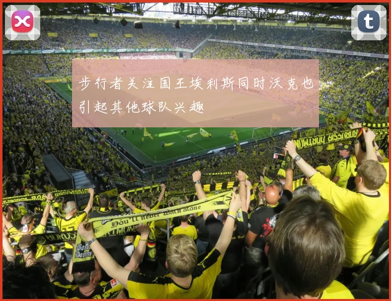步行者关注国王埃利斯同时沃克也引起其他球队兴趣