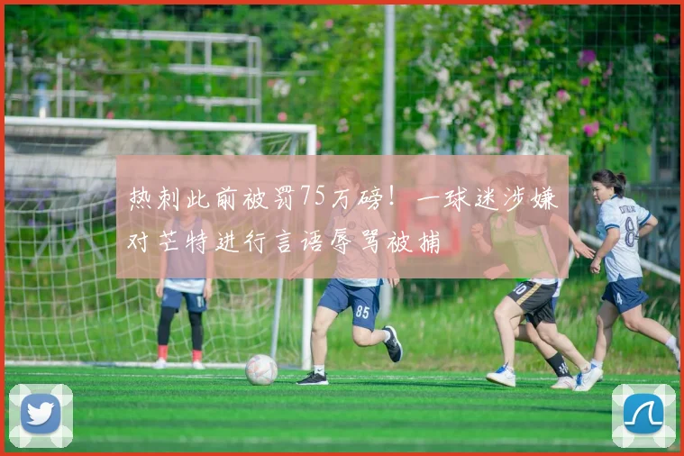 热刺此前被罚75万磅！一球迷涉嫌对芒特进行言语辱骂被捕