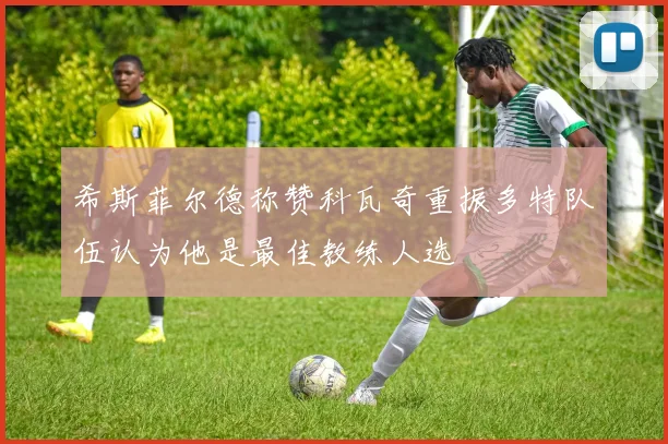 希斯菲尔德称赞科瓦奇重振多特队伍认为他是最佳教练人选