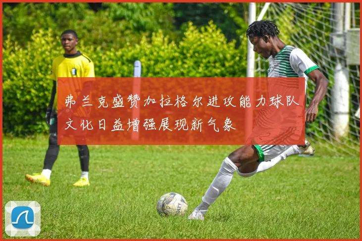 弗兰克盛赞加拉格尔进攻能力球队文化日益增强展现新气象