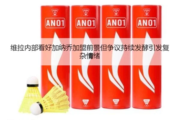 维拉内部看好加纳乔加盟前景但争议持续发酵引发复杂情绪（xingkong）